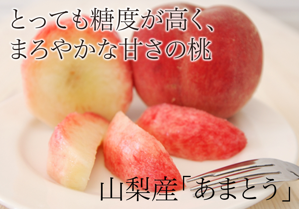 サンプルイメージ