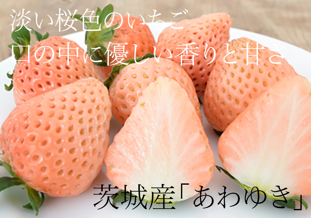 サンプルイメージ