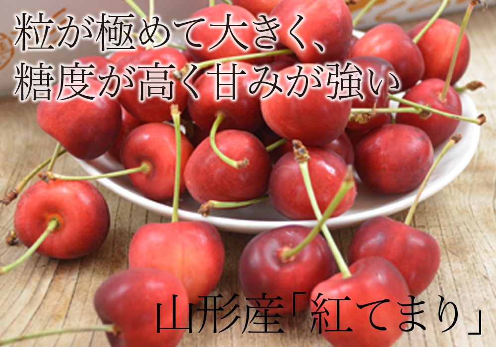 サンプルイメージ