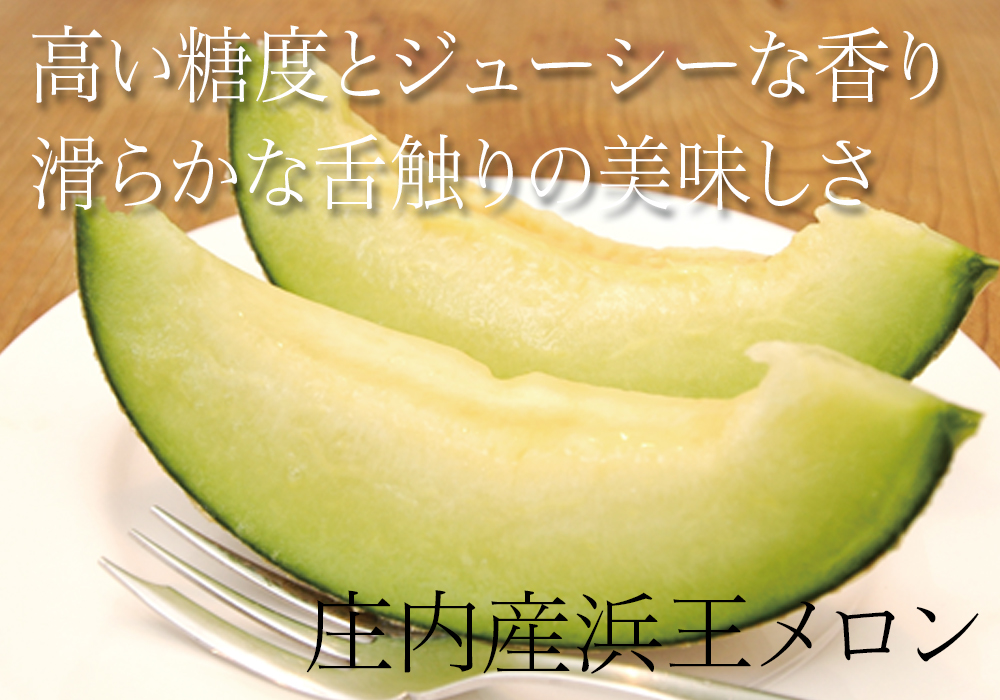 サンプルイメージ