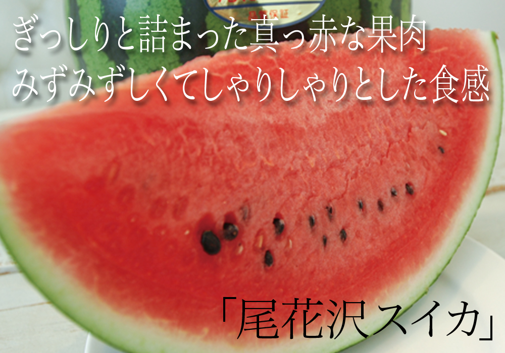 サンプルイメージ